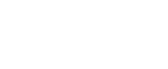 Data Techniques